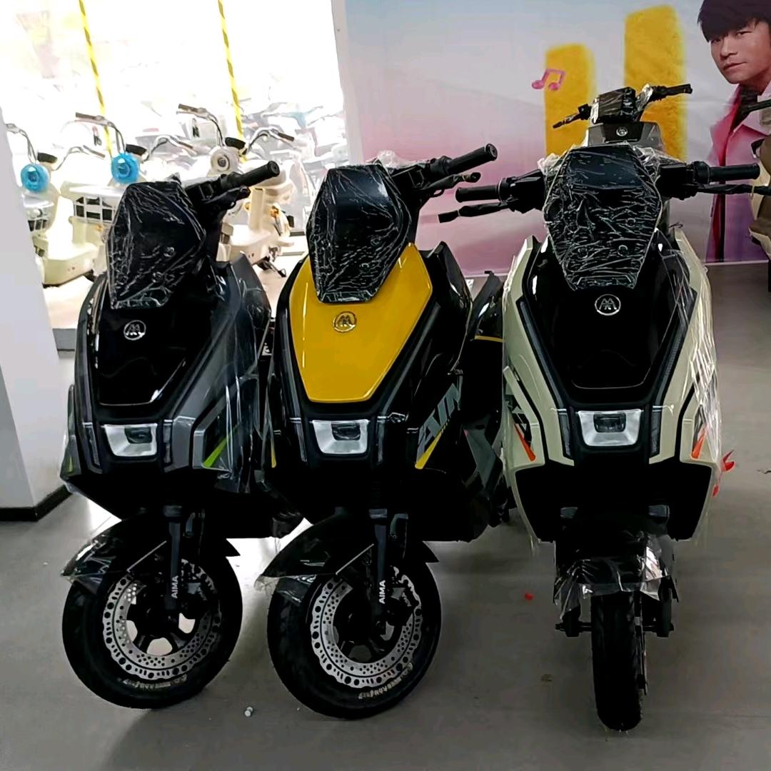 台山爱玛总代理