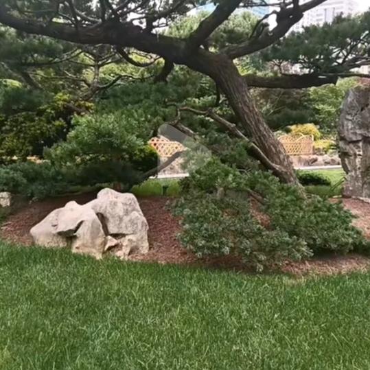 未来
