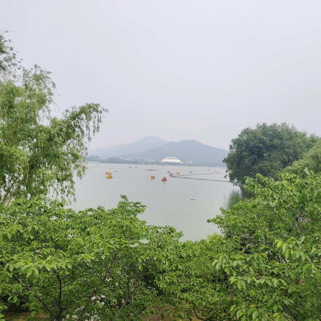 梦想成真