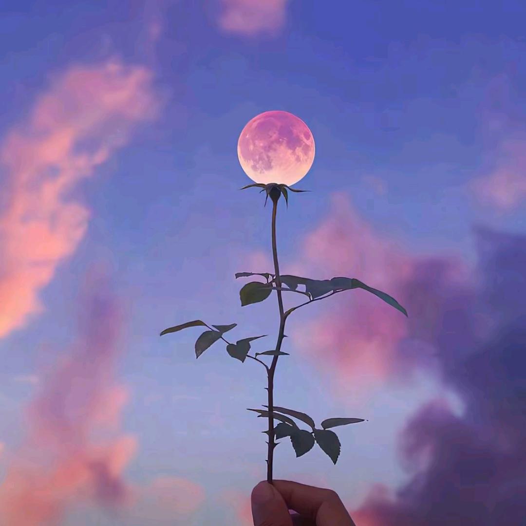 💗᭄爱林🕊꯭᭄꯭ꦿ锁爱ོꦿ
