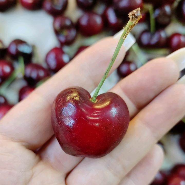 鲜果世家横埠店