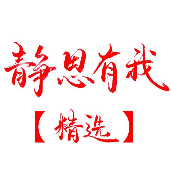 静思有我【精选】