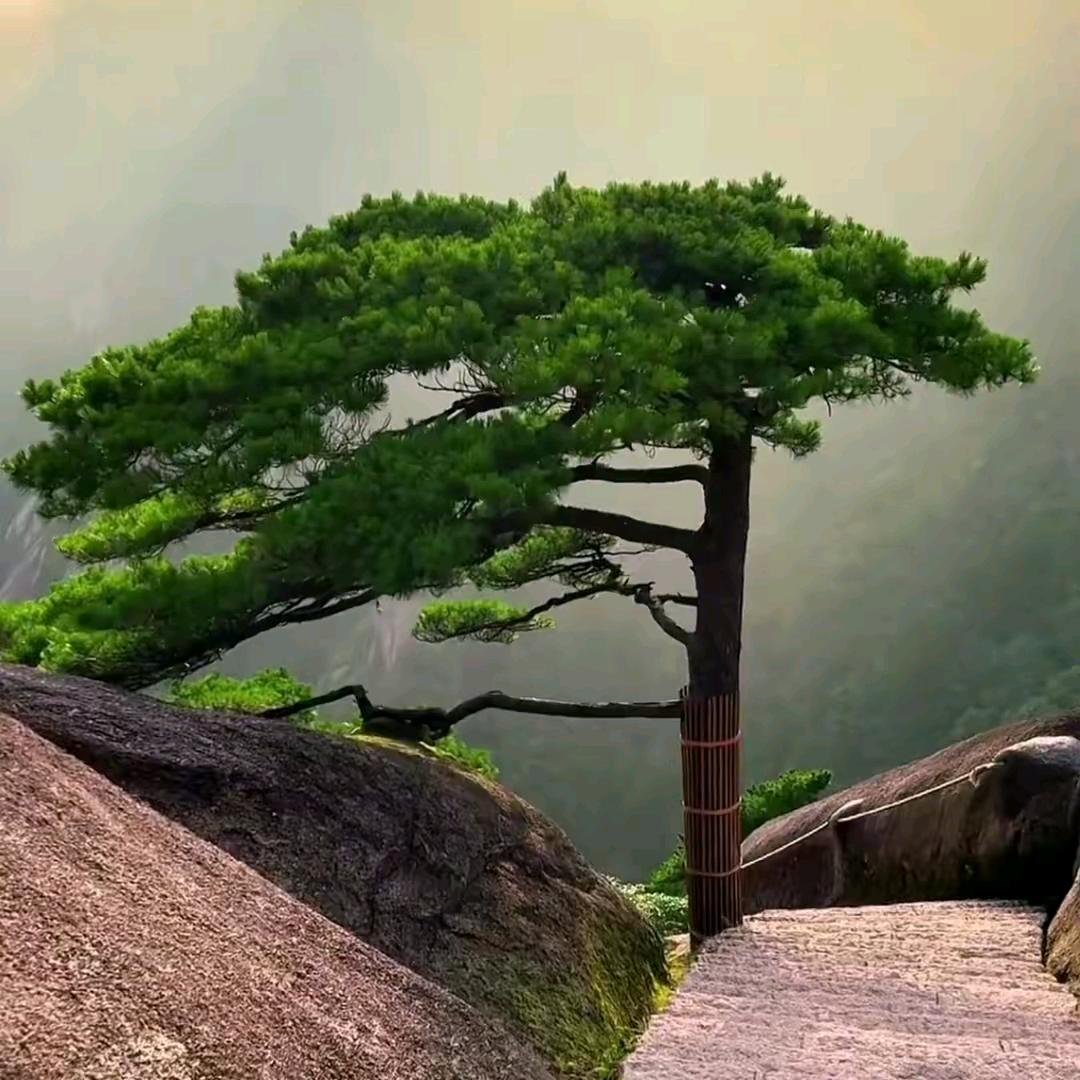 心稳路顺