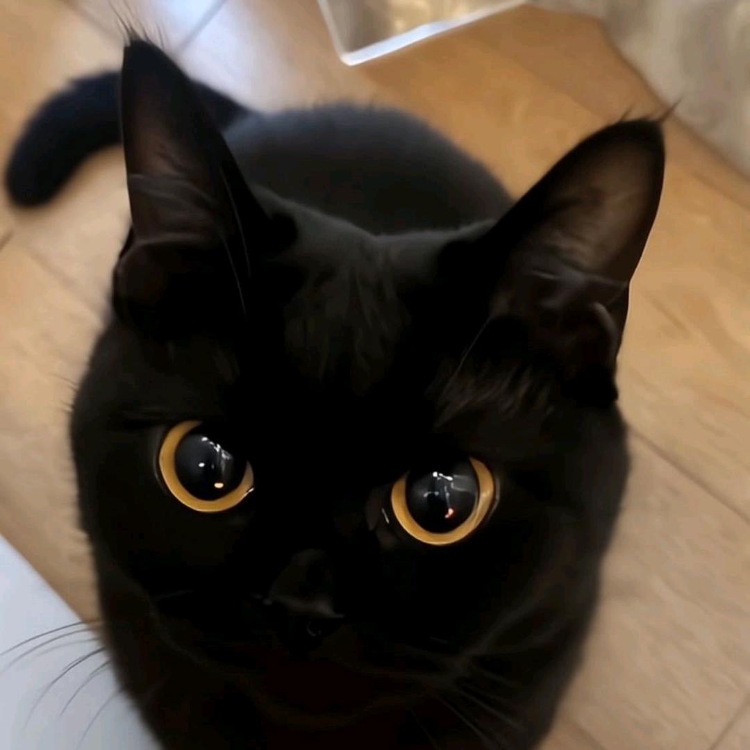 广州陈明二手车