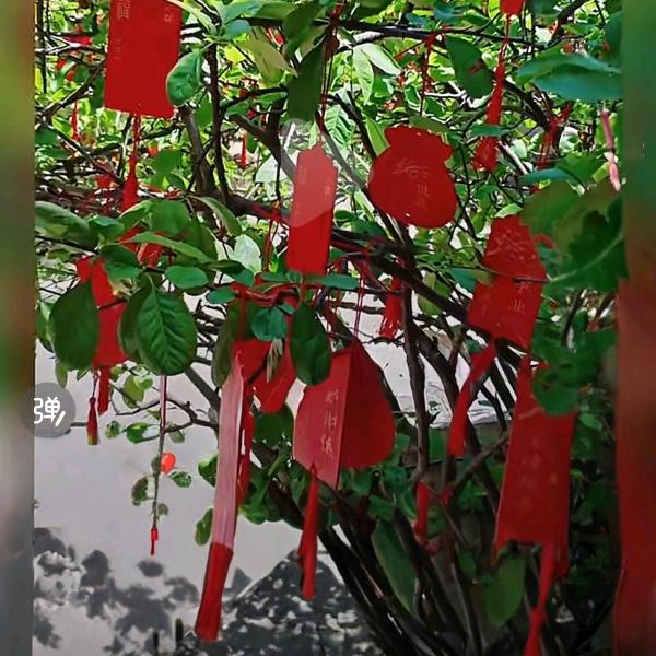 释怀