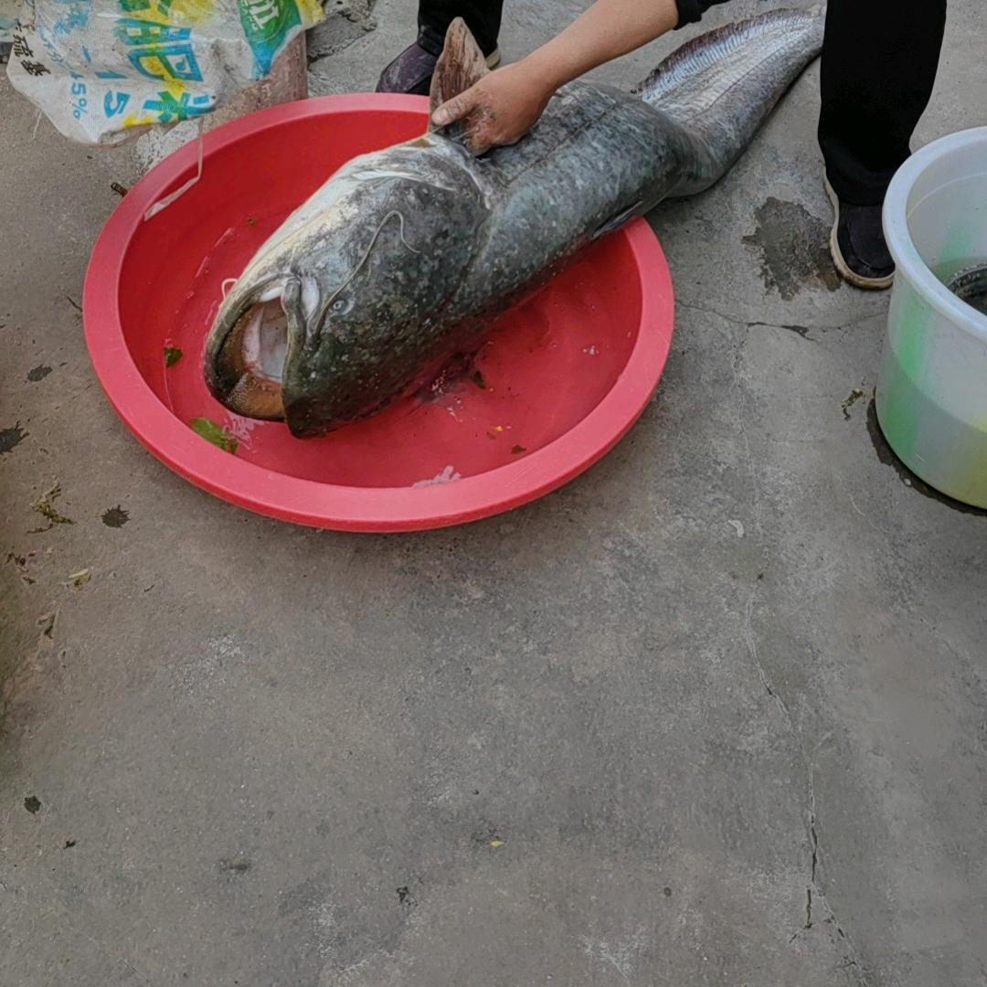 刚好装饰专业大小拆除室内外装修