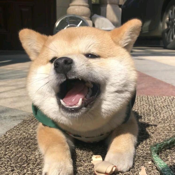 ε是小晴吗з