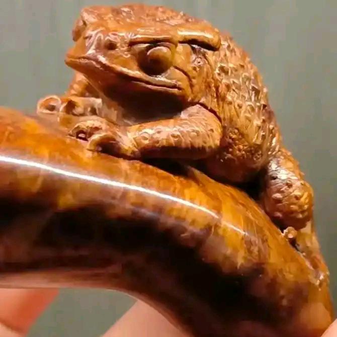 麻梨疙瘩专业户