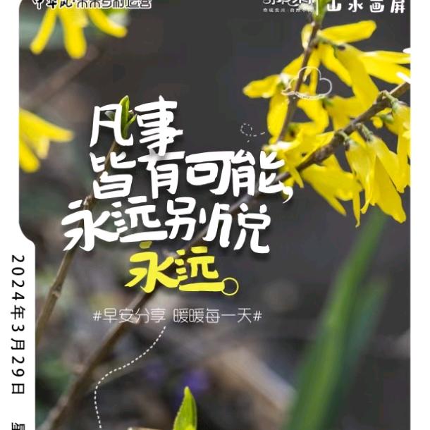 风雨之后