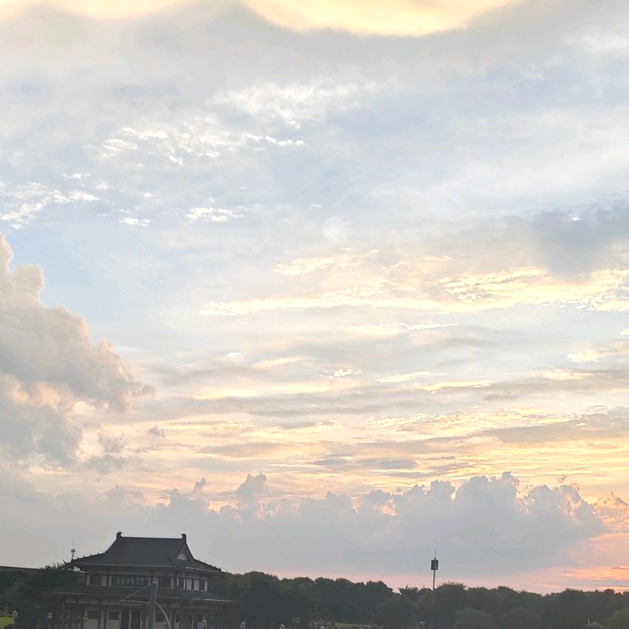 河南妞（河南人在浙江）