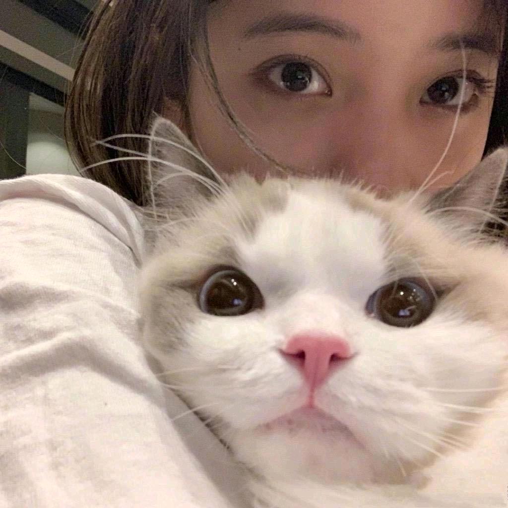 菜心