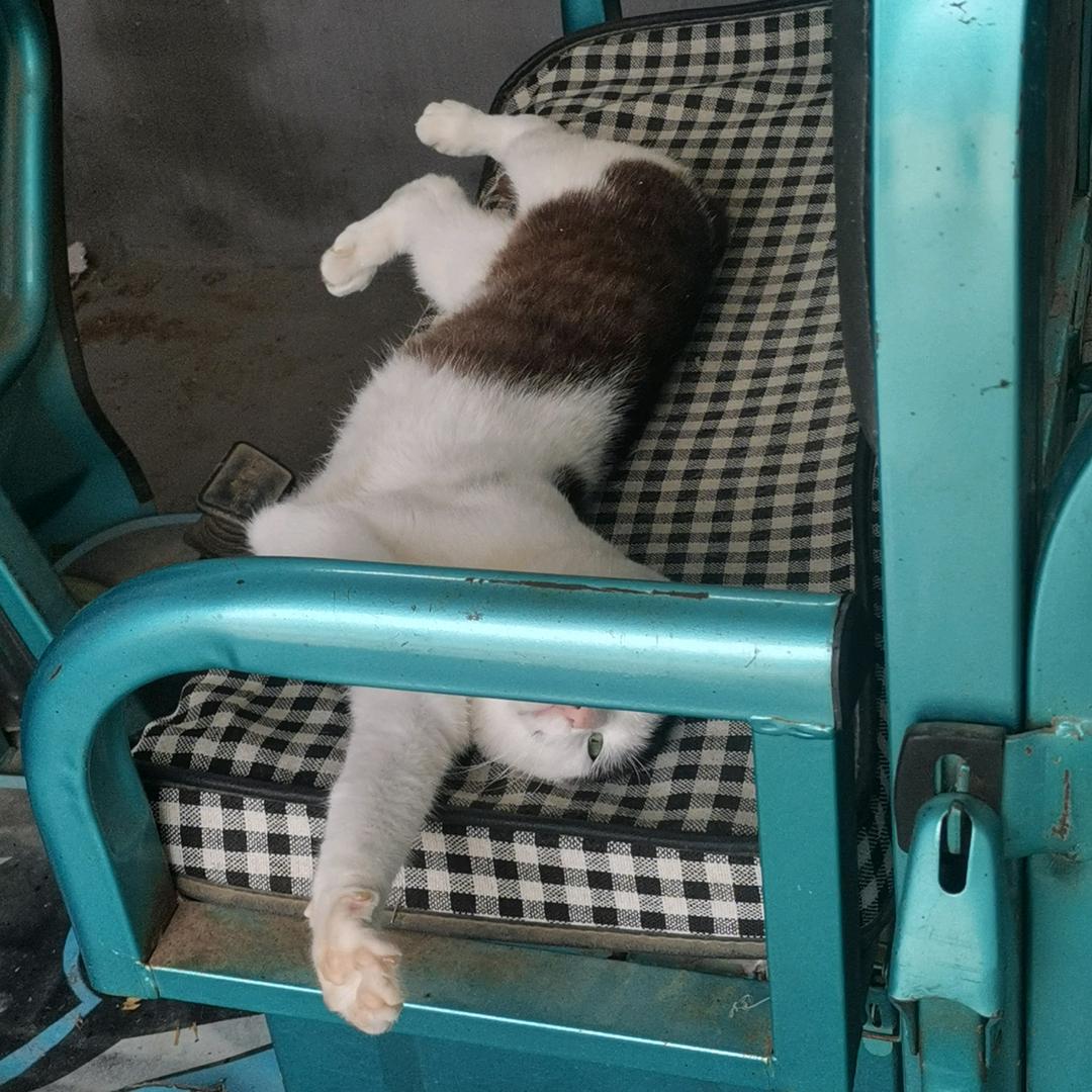 板凳小狗的朋友圈