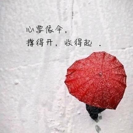 丑女无狄