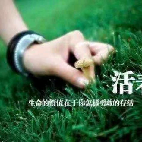 美好