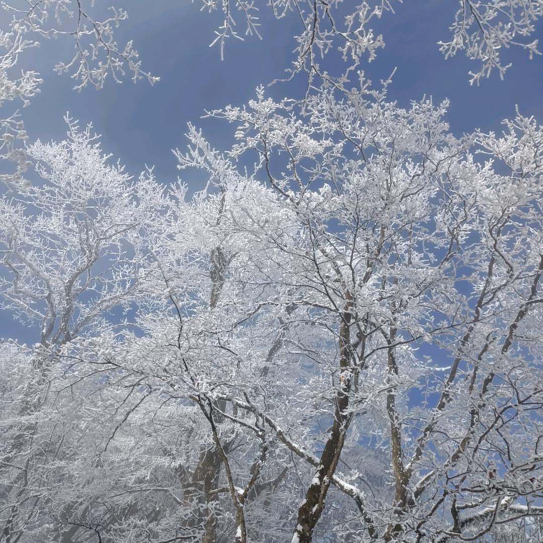 ♛封心❤️锁爱♛