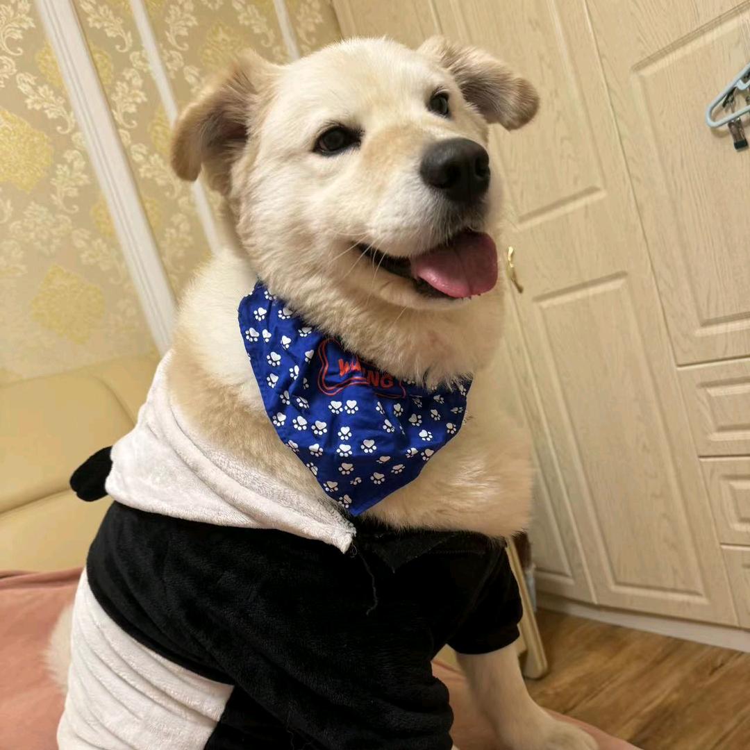 歆玥