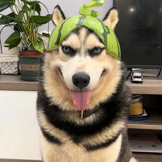 ღ让᭄心皈ཽ࿆零᭄💞