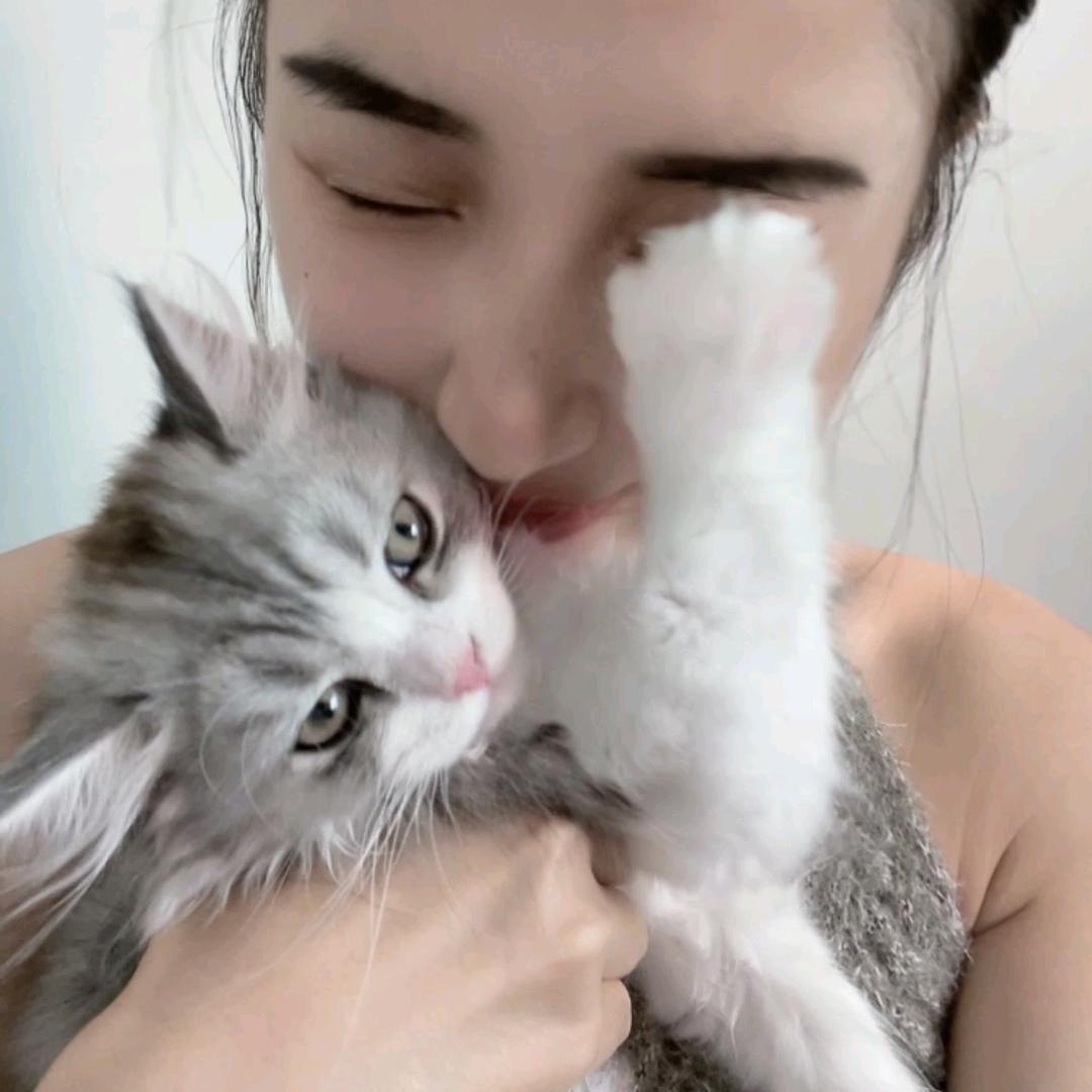 稳稳的幸福～