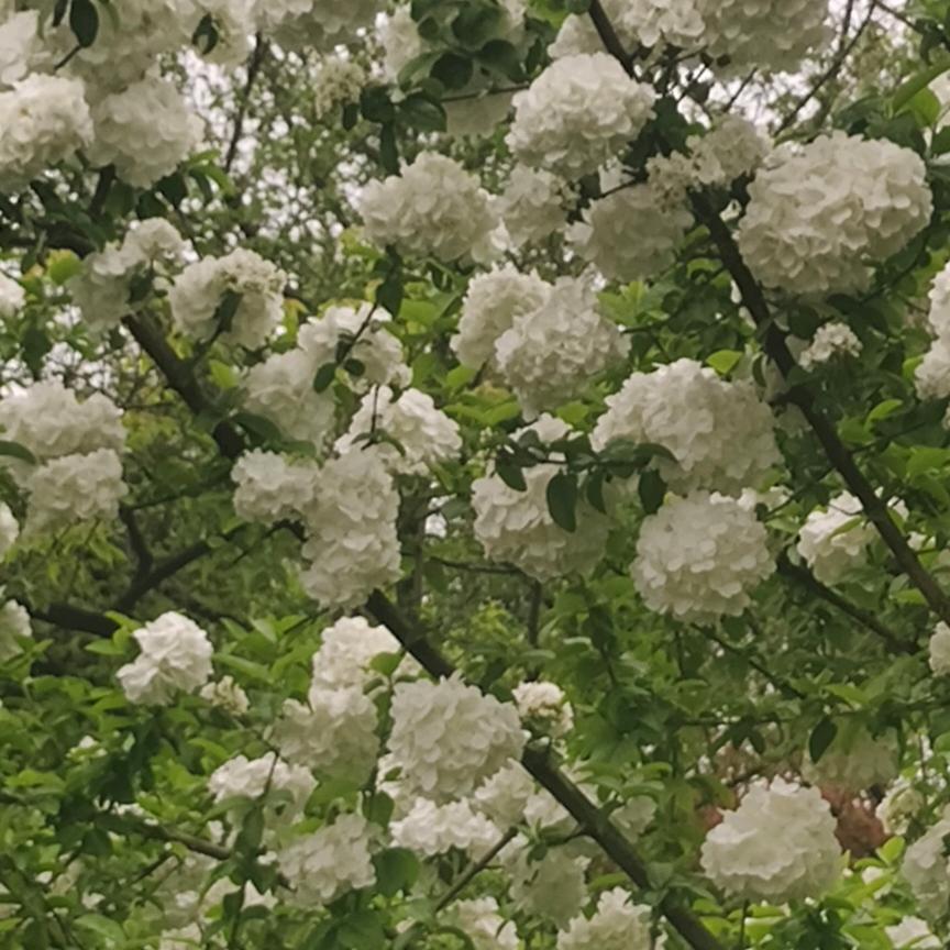 自己爱自己比谁都靠谱