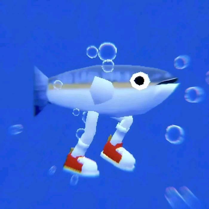 爱跑步的鲨鱼🦈
