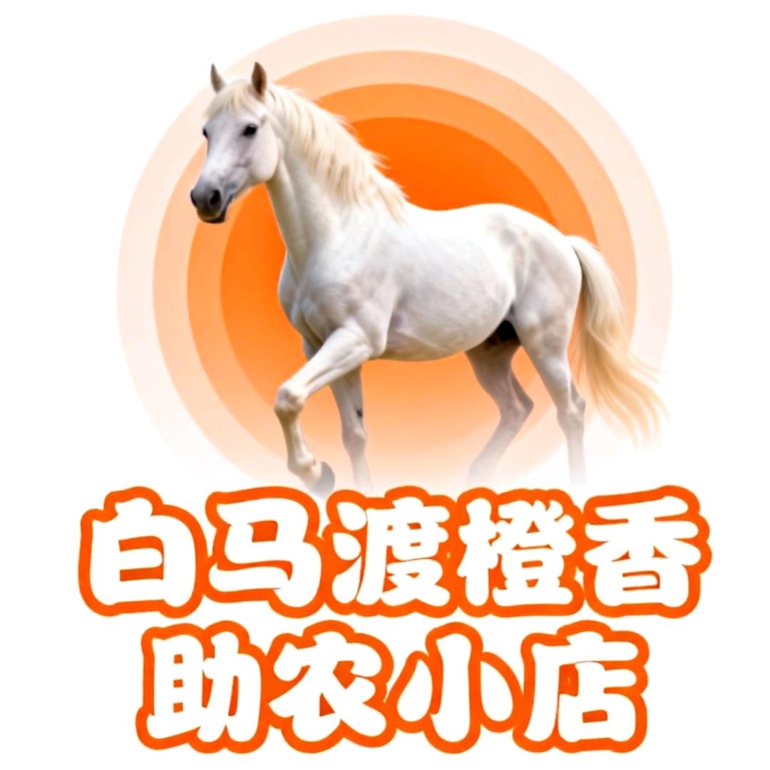 00后美女村官—村花团队