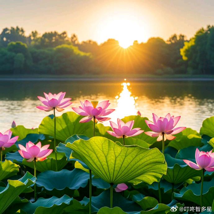 ໑ຼₒ₂5༺搞钱༒大叔༻໑ຼₒ₂5