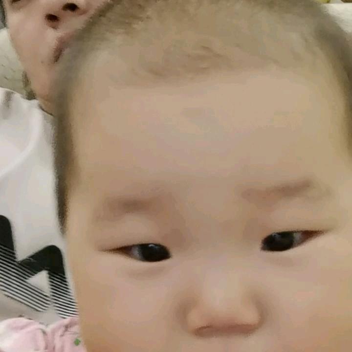 🐰花开富贵🌸