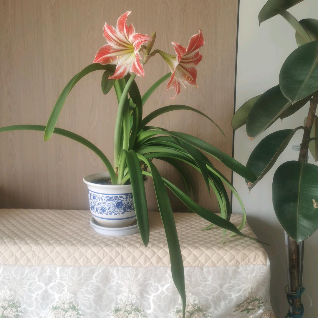 晋在山西