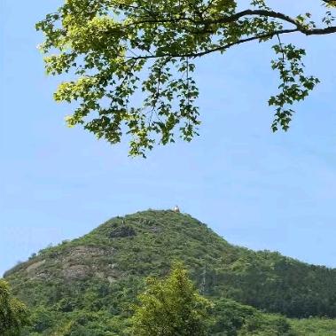 淡漠青山