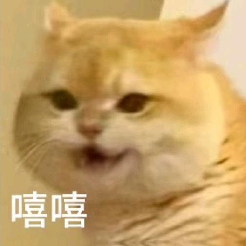 楚门kkk