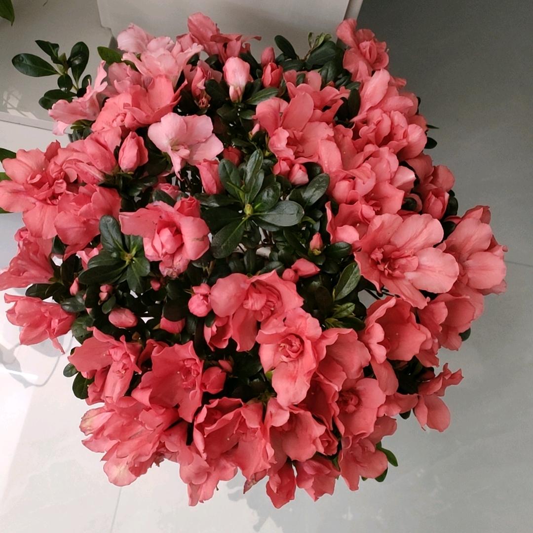 🎀幸运姐姐