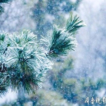 雪狼777