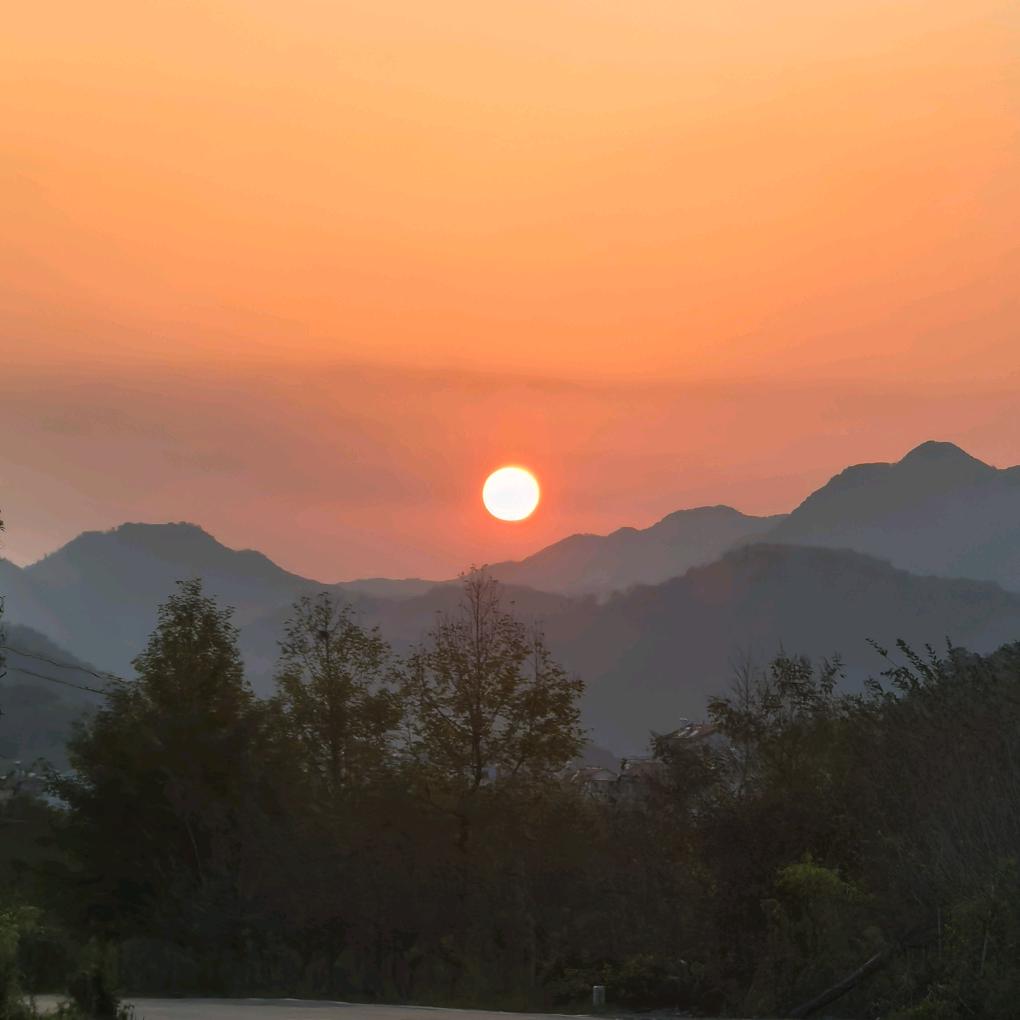 🟣ℒℴѵℯღ᭄ꦿ千🟣