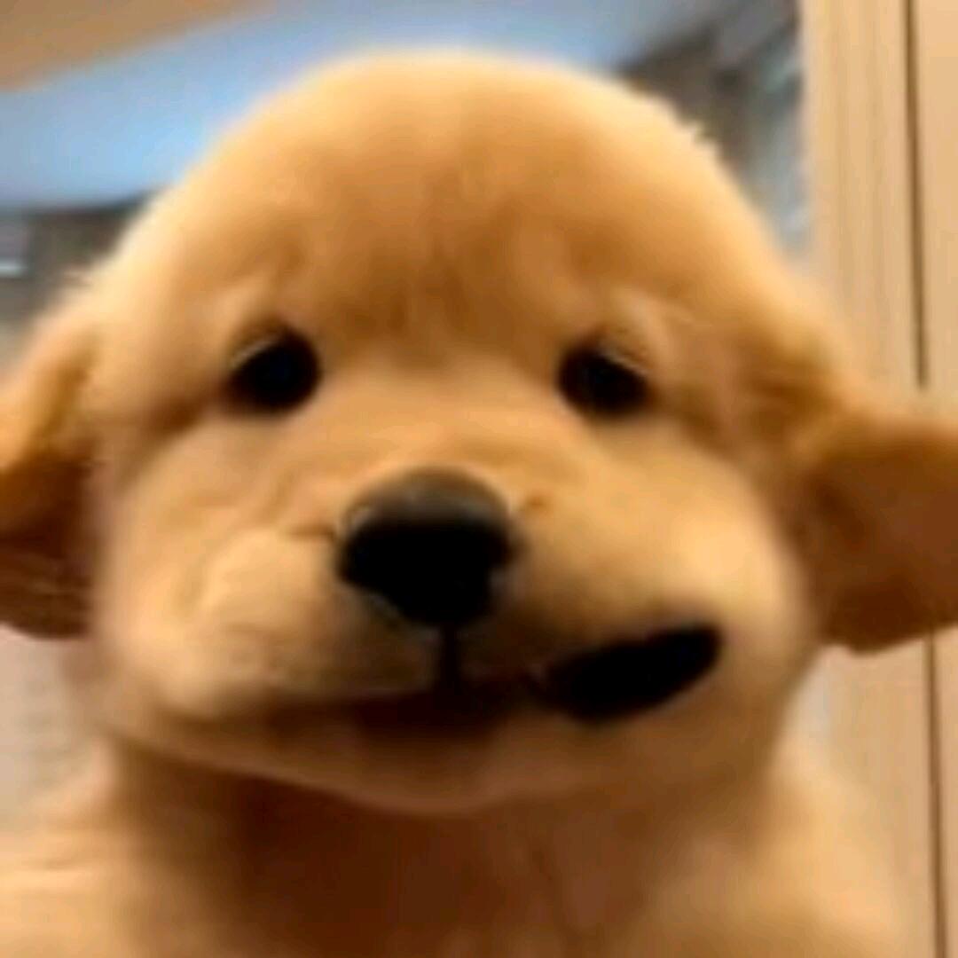 柚华