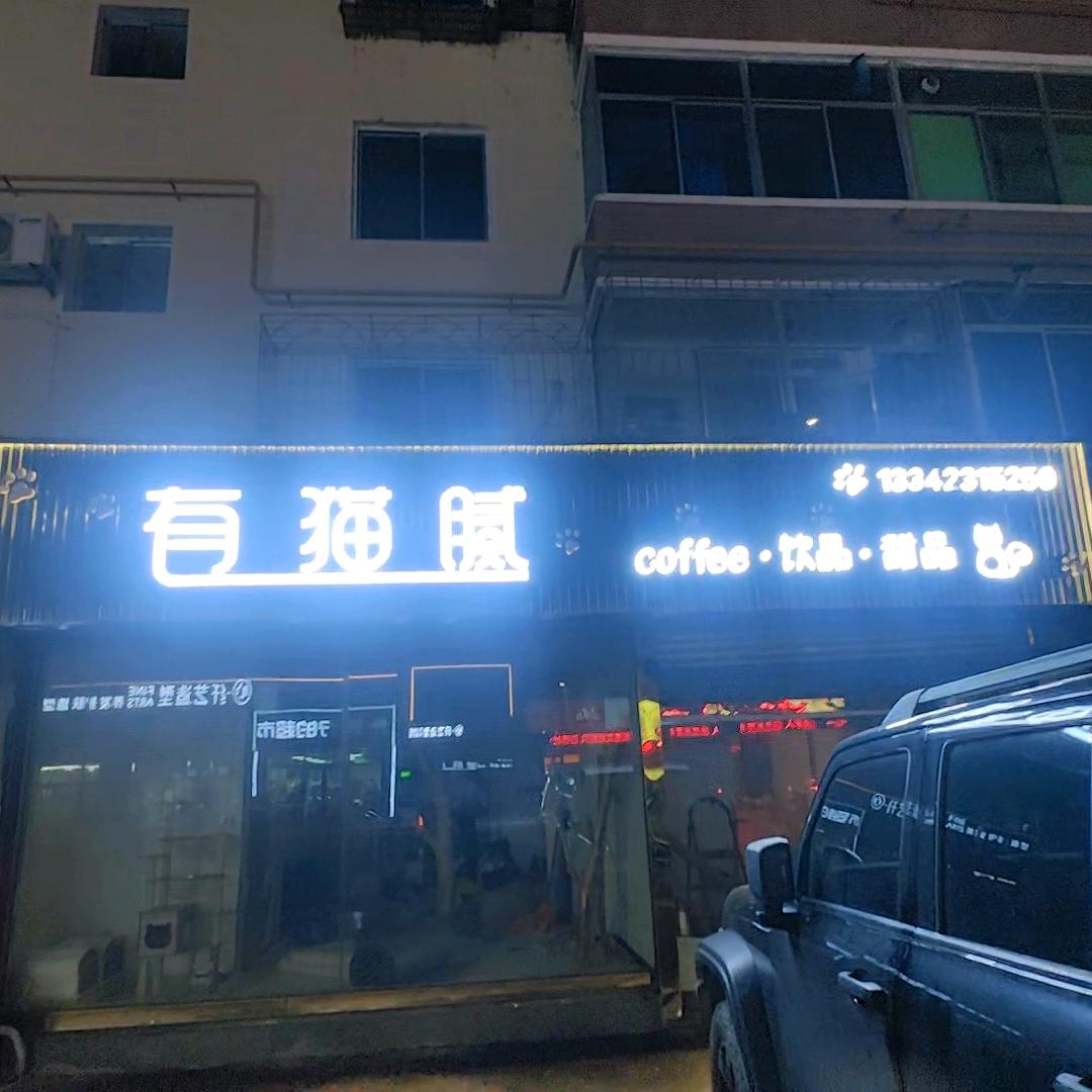 营口有猫腻猫咖
