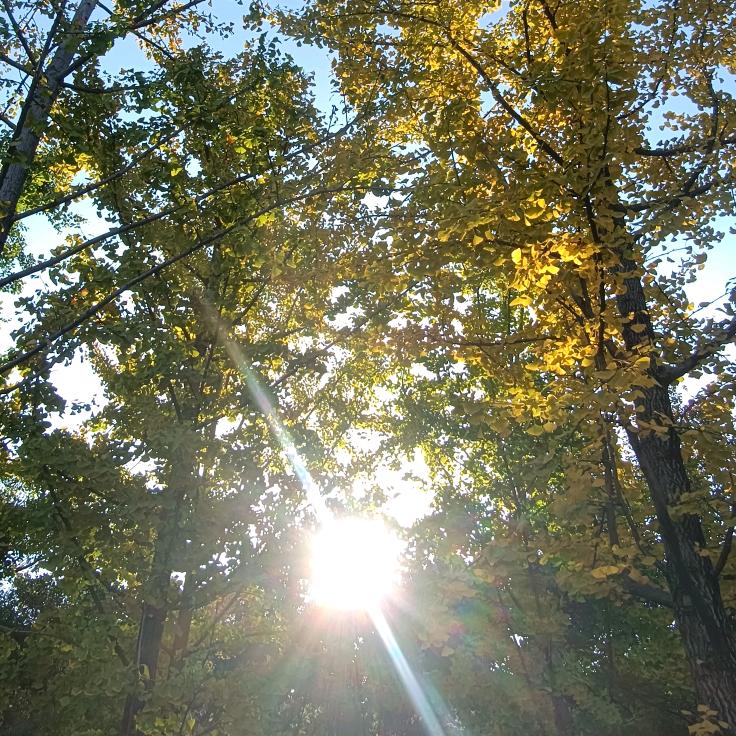 Zhanᴗg.ᰔᩚ X❄️ᴗhuiᥫᩣ