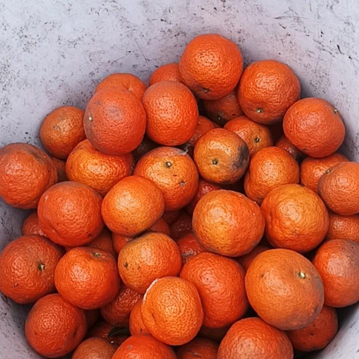 永远开心
