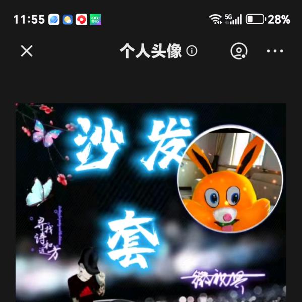 费县专业沙发套