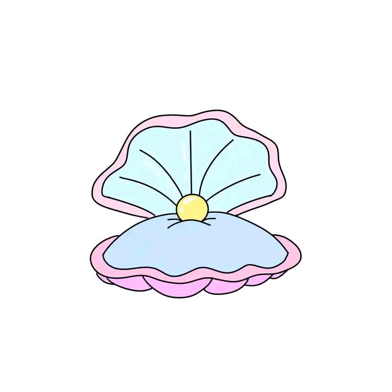 贝壳里的24小时