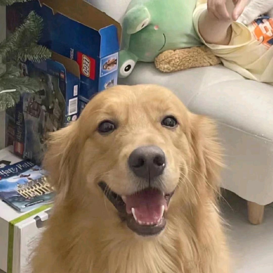 怪咖（三角洲慈善大使）