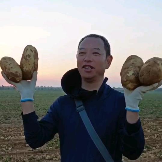 小小兰花