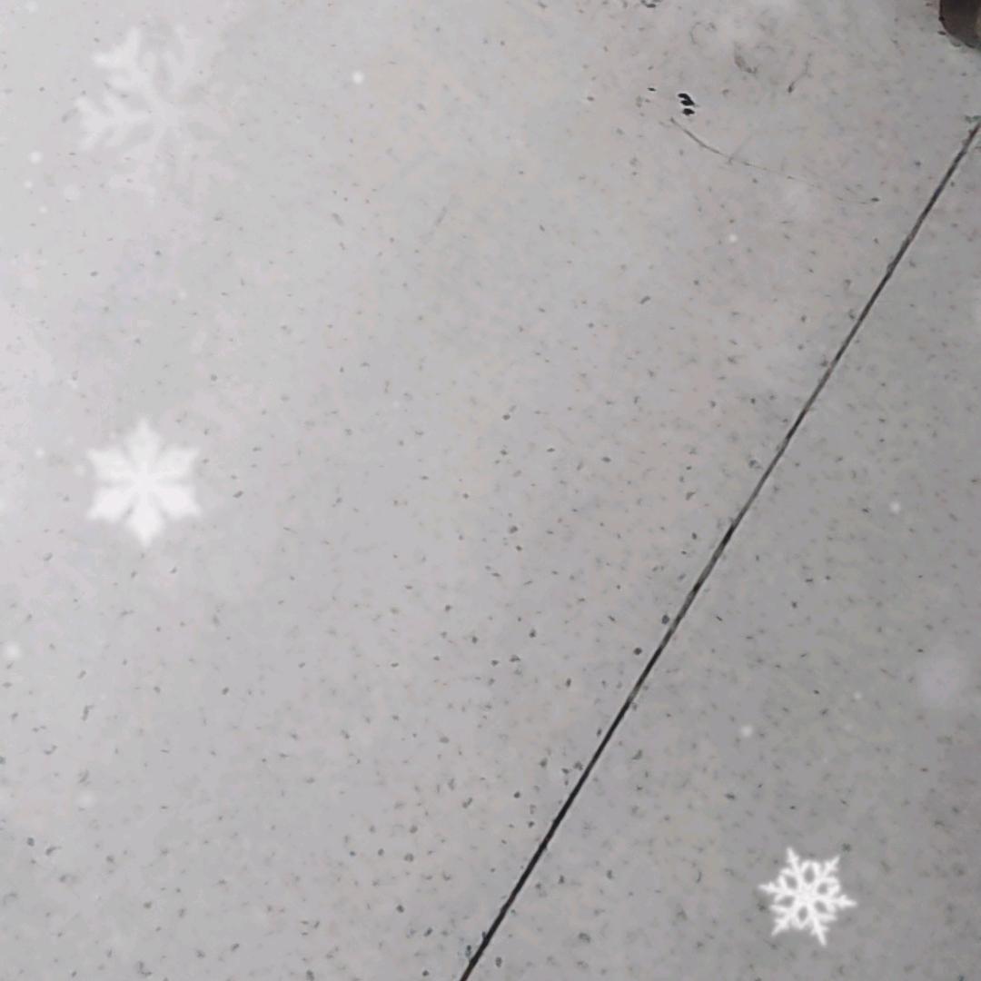 有仇必报