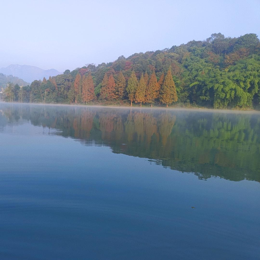 莲花湖梅姐