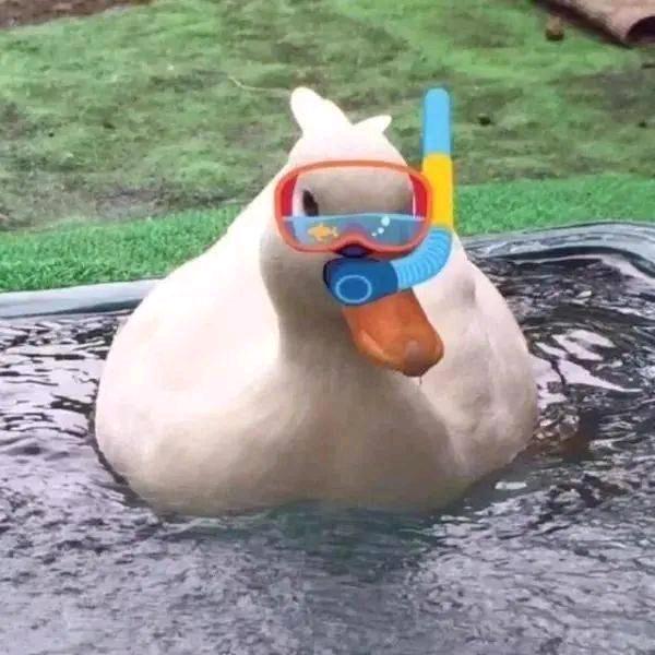 耶，