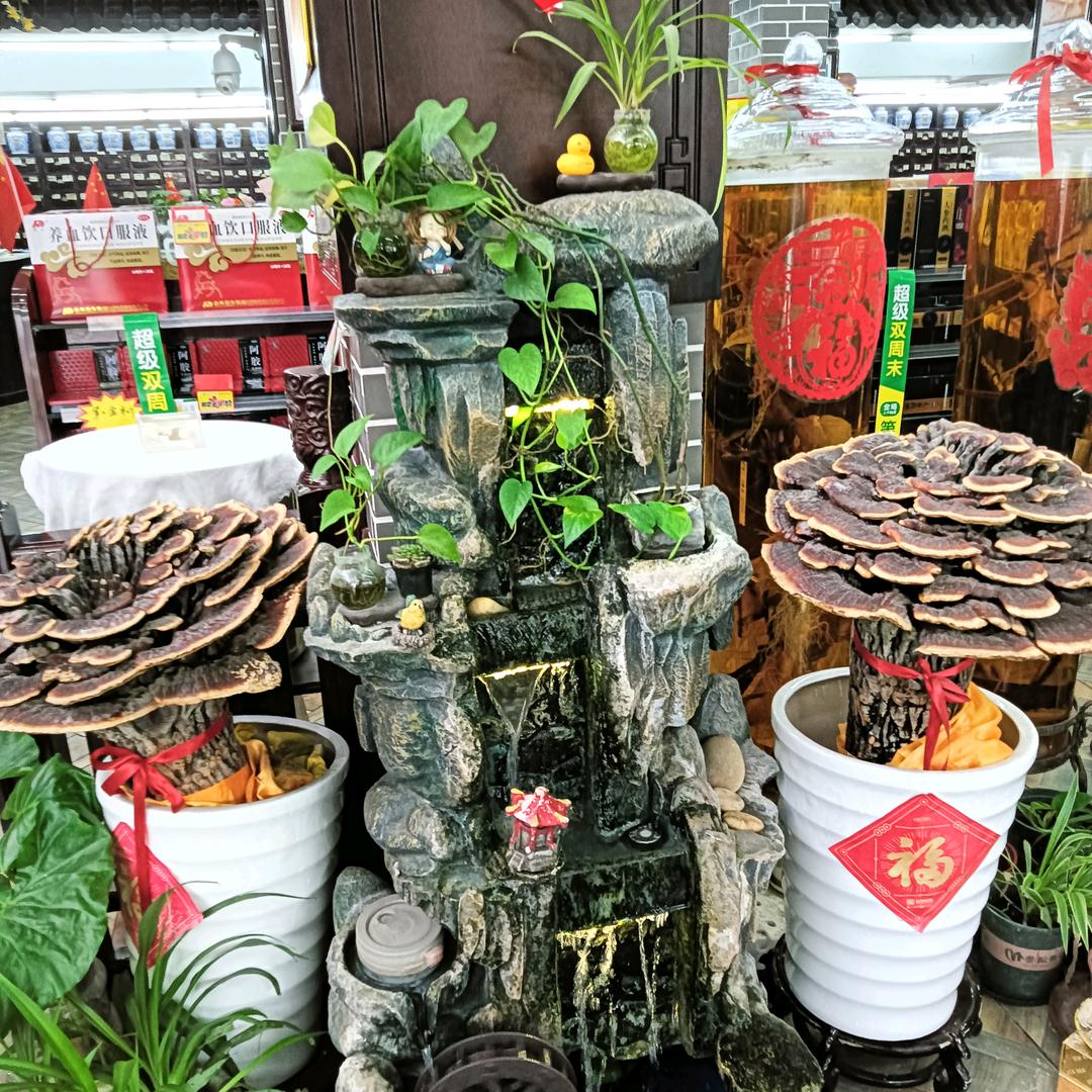 风华正茂