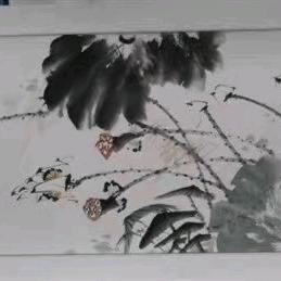 涛涛