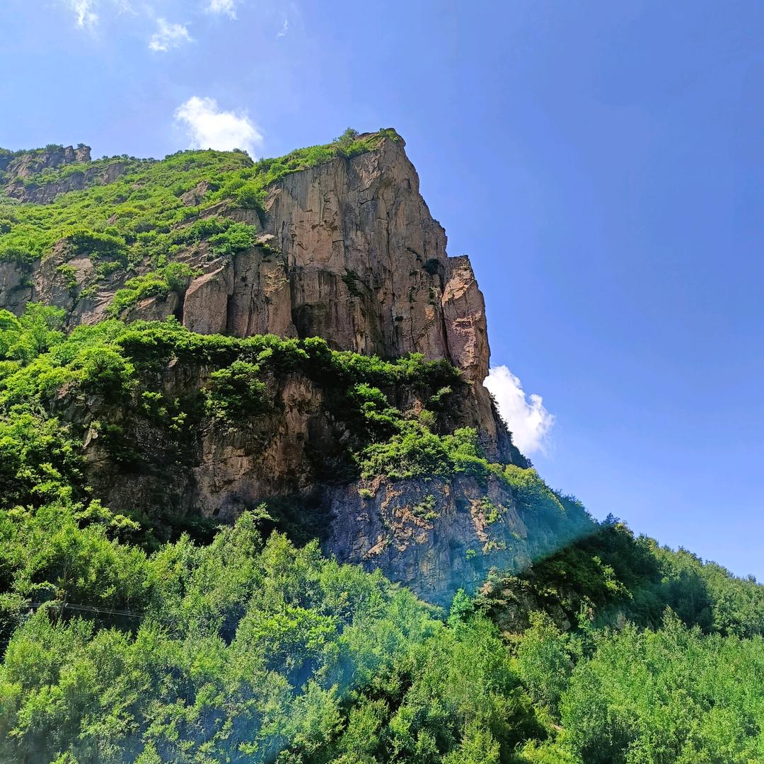 小皓子