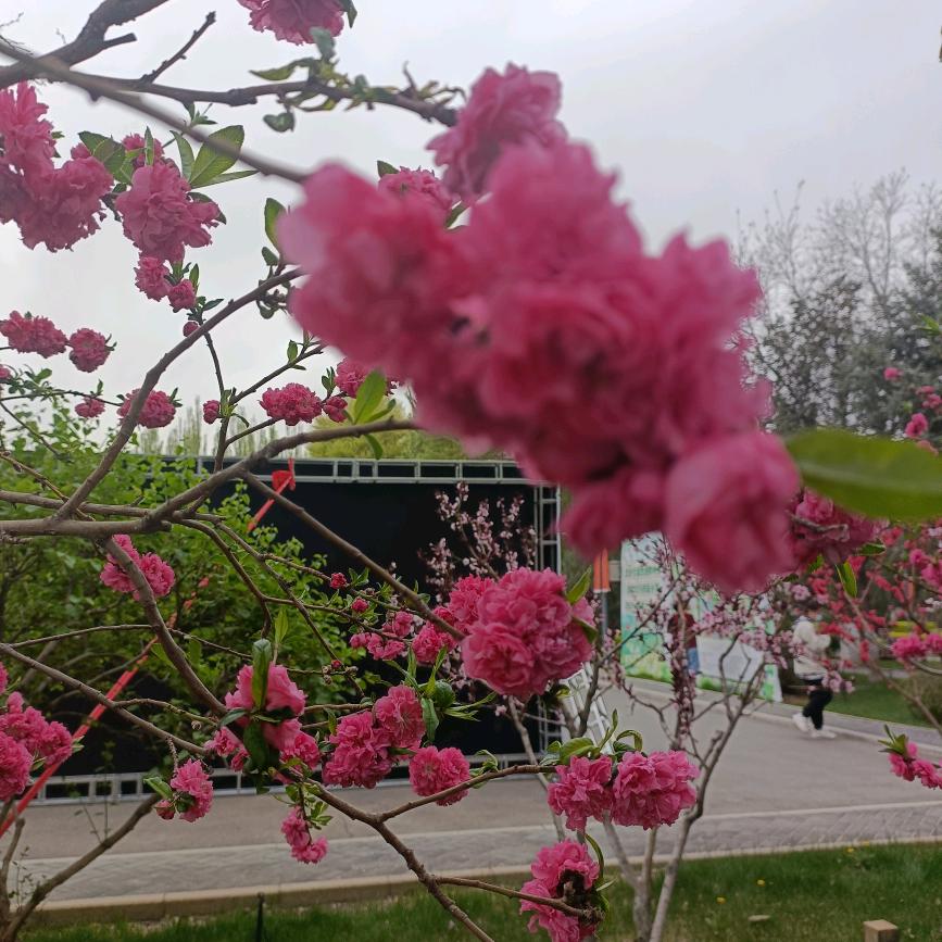明媚阳光