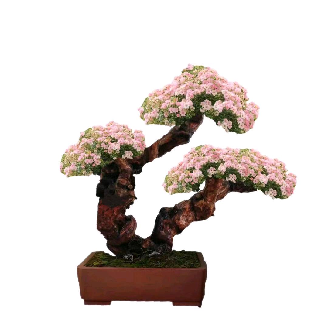 布好德