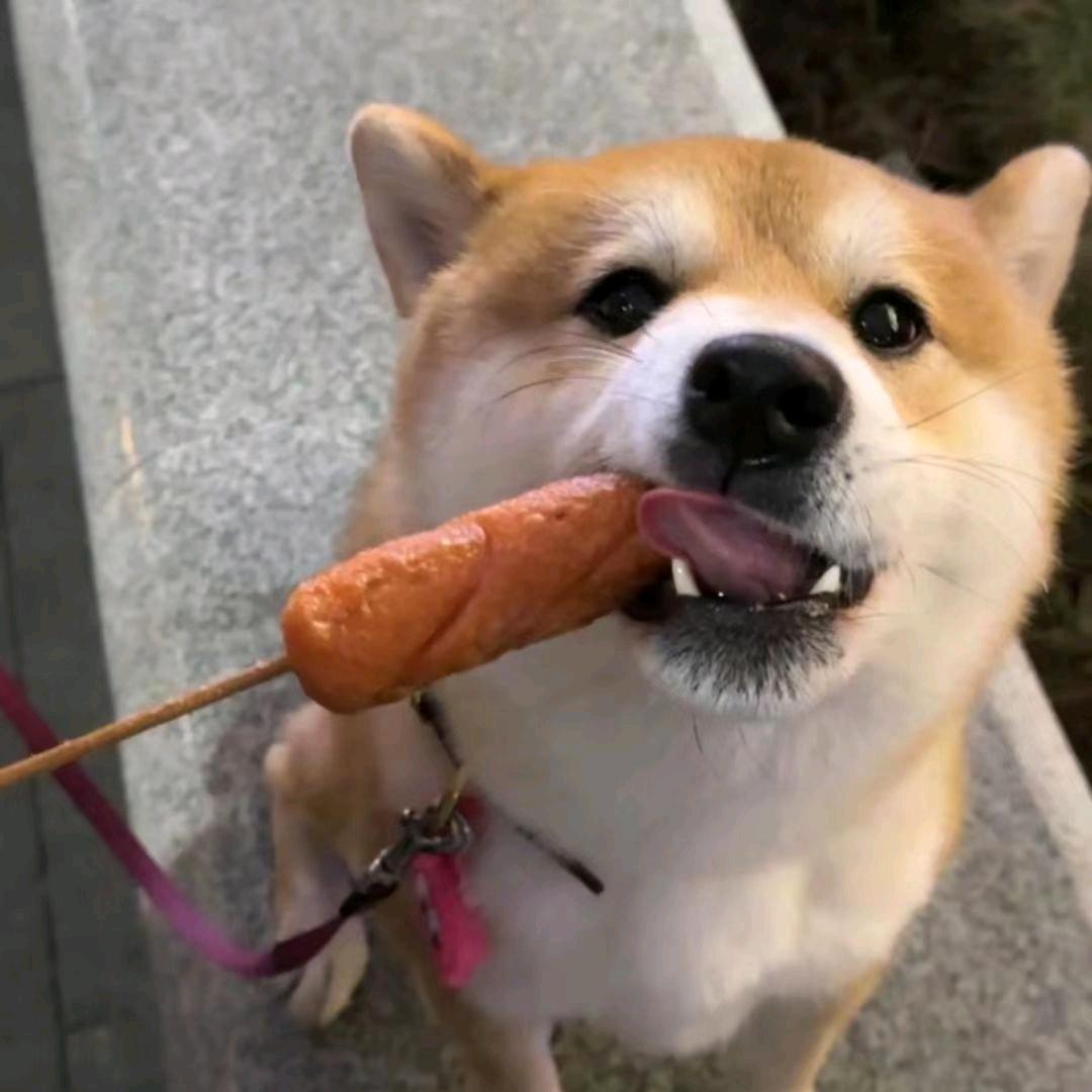 芒果